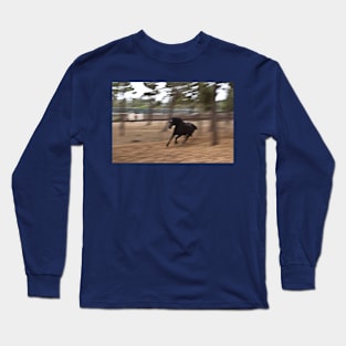 Running Black Beauty Long Sleeve T-Shirt